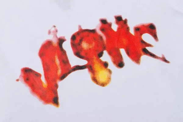 20SS Halloween Flaming Pumpkin Tee