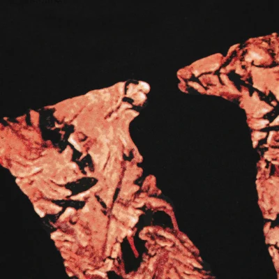 Kodak x Vlonekb T Shirt