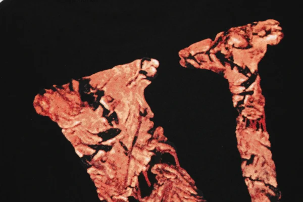 Kodak x Vlonekb T Shirt